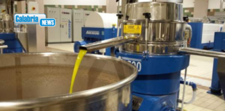 Da Arcea oltre 13 milioni e mezzo per domanda unica e ammodernamento frantoi