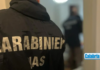 Blitz Carabinieri a Cassano e Capannori per traffico di anabolizzanti: 2 arresti e 53 denunce