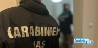 Blitz Carabinieri a Cassano e Capannori per traffico di anabolizzanti: 2 arresti e 53 denunce