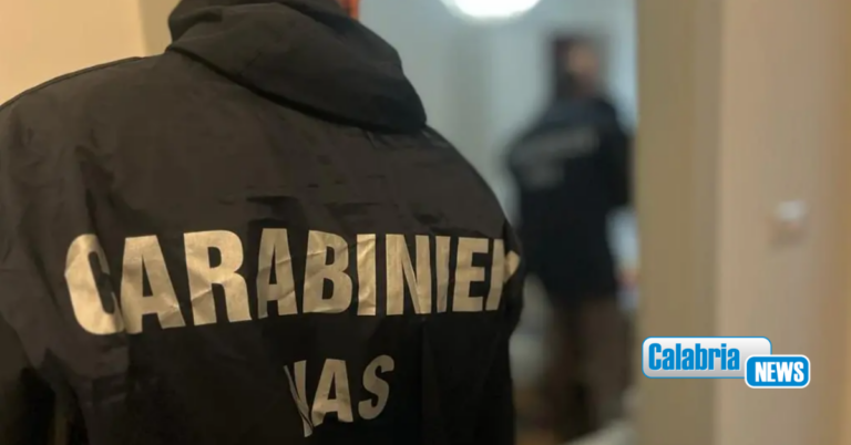 Blitz Carabinieri a Cassano e Capannori per traffico di anabolizzanti: 2 arresti e 53 denunce