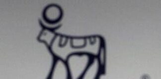 Novo Nordisk, farmaco anti-obesità fallisce obiettivo: è meno efficace di quello di Eli Lilly