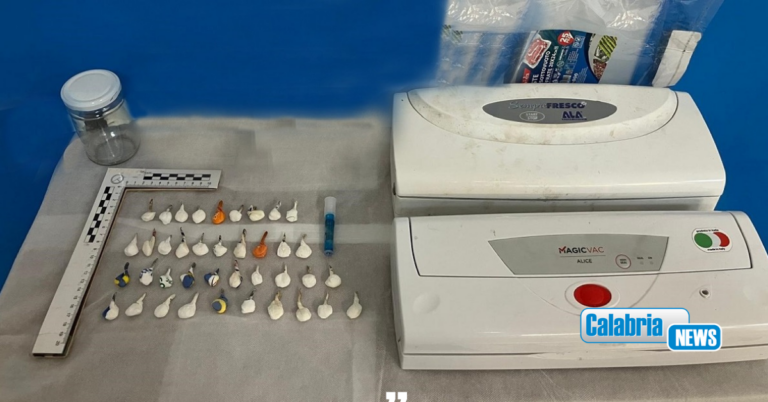 Detenzione ai fini di spaccio: uomo arrestato a Paola, pizzicato in casa con 50 gr di cocaina