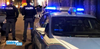 Nel Cosentino arrestate 2 persone, 4 misure cautelari e 8 persone denunciate