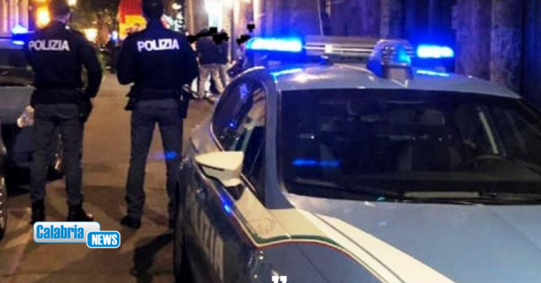 Nel Cosentino arrestate 2 persone, 4 misure cautelari e 8 persone denunciate