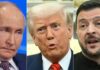 Ucraina-Russia, Zelensky e la proposta a Putin: “Incontro in Usa da Trump”