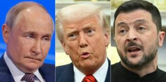 Ucraina-Russia, Zelensky e la proposta a Putin: “Incontro in Usa da Trump”
