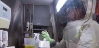 Virus Nipah, studio italiano: sorveglianza in tempo reale per prevenire nuovi focolai