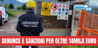 Controlli dei Carabinieri nel Vibonese: lavoratori in nero e violazioni norme sicurezza