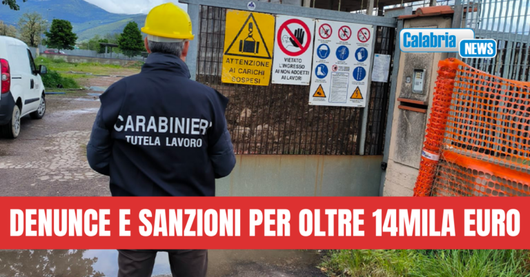 Controlli dei Carabinieri nel Vibonese: lavoratori in nero e violazioni norme sicurezza