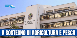 Gruppi opposizione in Consiglio regionale presentano mozione contro la crisi energetica