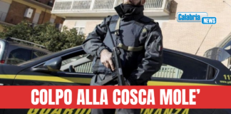 VIDEO-Gioia Tauro, blitz della GdiF: tre arresti, detenevano armi da guerra e clandestine