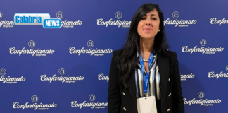 Donne, lavoro e impresa: in Calabria occupazione in crescita ma resta ampio il divario