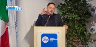 Caro Energia, CNA Calabria: “Occhiuto faccia convocare la Conferenza della Regioni”