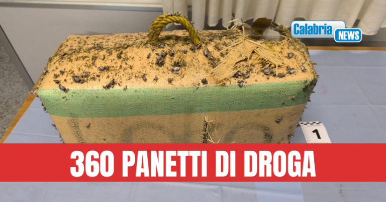 Polizia recupera pacco sulla riva del mare a Gizzeria con 38 Kg di hashish