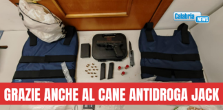 GdiF Crotone sequestra soldi, droga e armi: un arresto e due denunce