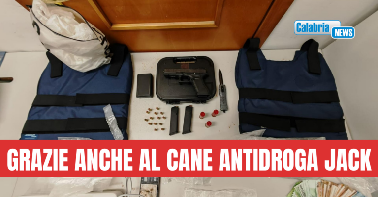 GdiF Crotone sequestra soldi, droga e armi: un arresto e due denunce