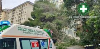 Maltempo sull’Italia, donna ferita da un ramo caduto a Genova. Grandine e pioggia a Roma, traffico in tilt