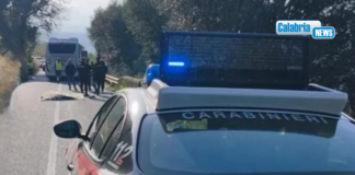 Percorre a piedi strada per Nicotera marina e viene investito da bus: morto 25enne