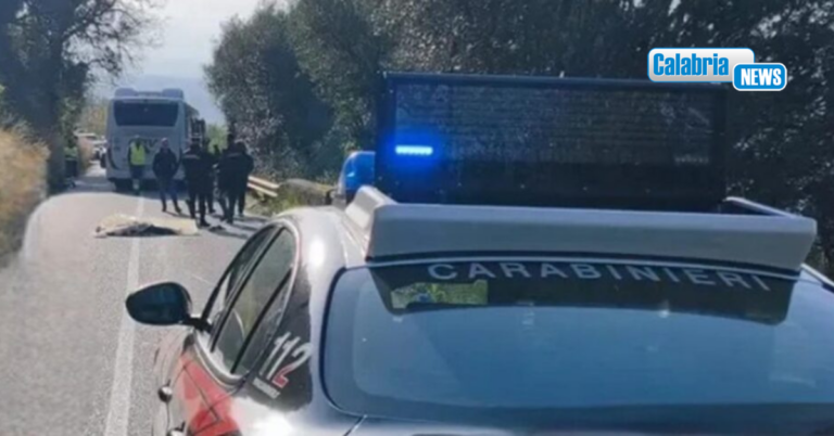 Percorre a piedi strada per Nicotera marina e viene investito da bus: morto 25enne
