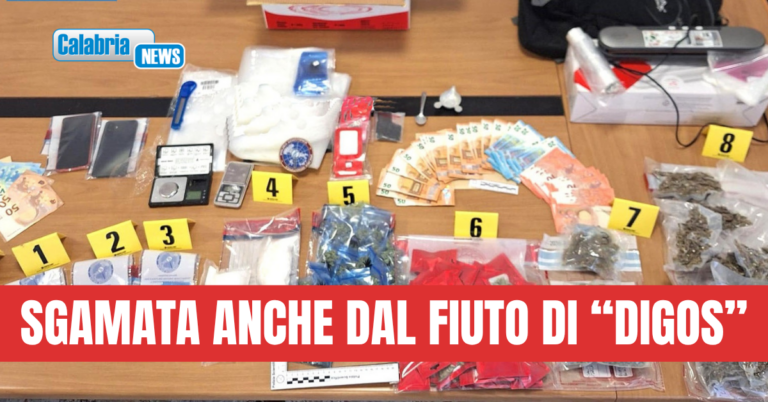 Paola, appartamento in centro adibito a lavorazione e confezionamento droga: 45enne arrestata
