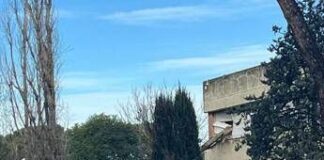 Paura a Roma, cade albero e sfonda finestra del liceo Orazio