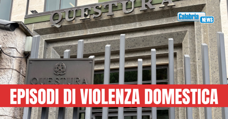 Vibo Valentia, Questore emette due provvedimenti di ammonimento nei confronti di due uomini