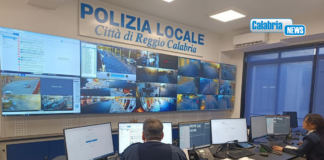 Individuato il pirata della strada che ha investito e ucciso la 29enne finlandese a Reggio Calabria