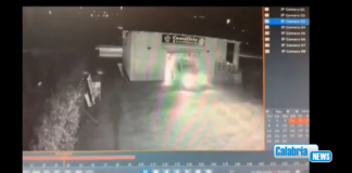 VIDEO-Rende, auto come ariete e ladri in fuga con la cassa: colpo nella notte a caseificio