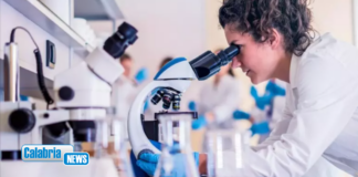 Dal Mur 1,3 milioni a Università calabresi per assumere 46 ricercatori, ecco dove