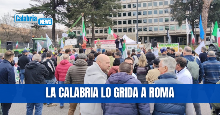 Coordinamento Agricoltori e Pescatori Italiani: Il Sud agricolo sta morendo