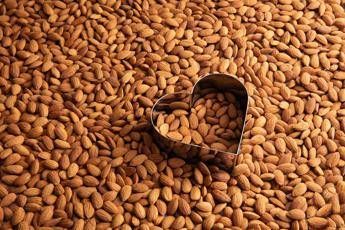 Salute: studio, ‘consumo regolare di mandorle promuove salute del cuore’