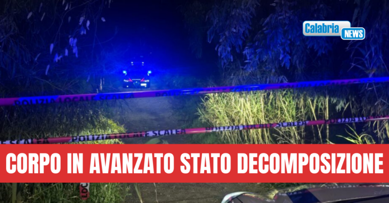 Scalea, scoperto cadavere in una pineta vicina al mare: si fa strada l’ipotesi del suicidio