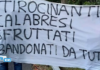 Tis, quasi mille a rischio mancata stabilizzazione, sindacati: urgente un tavolo con la Regione