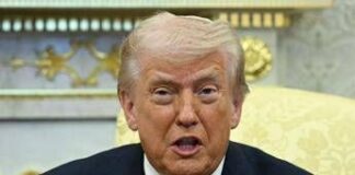 Trump, attacco frontale alla Nato: “Codardi, ce ne ricorderemo”