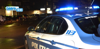 Proseguono serrati i controlli della Polizia nel territorio provinciale di Vibo Valentia