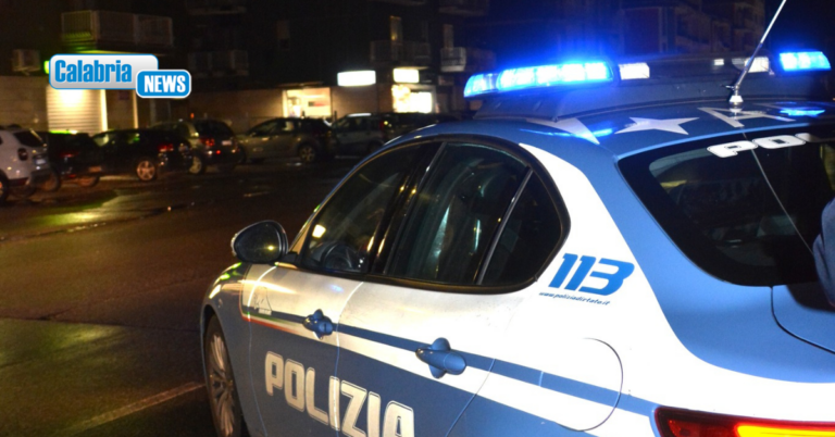 Proseguono serrati i controlli della Polizia nel territorio provinciale di Vibo Valentia