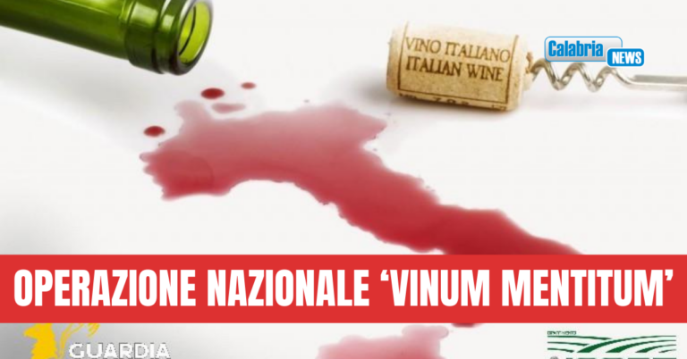 VIDEO-Sequestrati circa 2,5 milioni di litri di vino falsamente certificati DOP e IGP