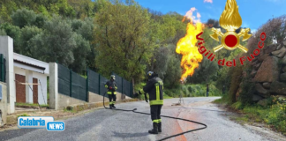 Zambrone, perdita di GPL da un serbatoio: provvidenziale intervento dei Vigili del Fuoco