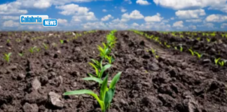 Crisi energetica e instabilità nel Golfo Persico, l’allarme di CIA Calabria: comparto agricolo in ginocchio