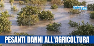 Maltempo, Regione chiede stato calamità naturale per Alto Jonio Cosentino e Rocca Imperiale