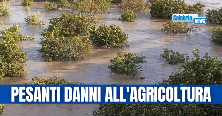 Maltempo, Regione chiede stato calamità naturale per Alto Jonio Cosentino e Rocca Imperiale