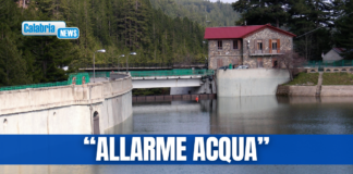 Pd Calabria: Basta con la logica delle emergenze, Regione chiarisca su gestione degli invasi