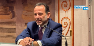 Sanità, Minenna: case e ospedali di comunità vanno avanti, tempistiche saranno rispettate