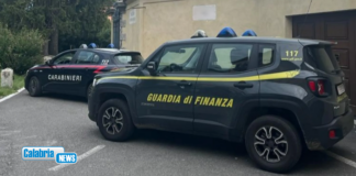 Operazione “Call me”: Arrestato latitante appartenente ad una ‘ndrina del vibonese