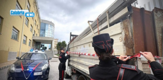 Lamezia, una tonnellata di rifiuti speciali sul camion: denunciato un 39enne