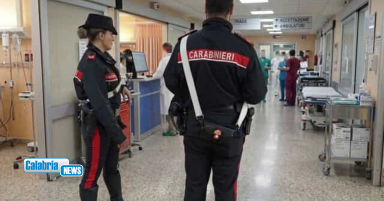 Vibo Valentia, uomo aggredisce guardia giurata al pronto soccorso