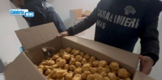 Sellia Marina, Carabinieri sequestrano 419 chili di alimenti non tracciati