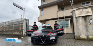 VIDEO-Piantagione di marijuana tra Conflenti e Lamezia, quattro arresti e beni sequestrati