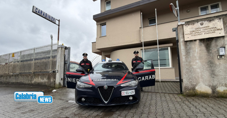 VIDEO-Piantagione di marijuana tra Conflenti e Lamezia, quattro arresti e beni sequestrati