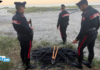 Roccelletta di Borgia, due persone denunciate per tentato furto di cavi elettrici sulla spiaggia